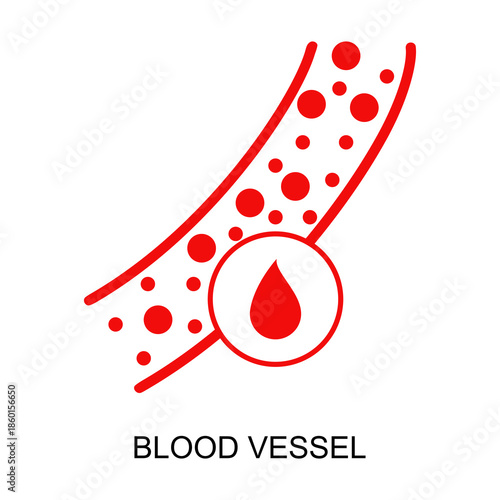 ฺBlood vessel icon flat style vector illustration design.