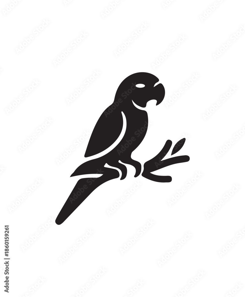 Fototapeta premium Monk Parakeet (Quaker) Sitting