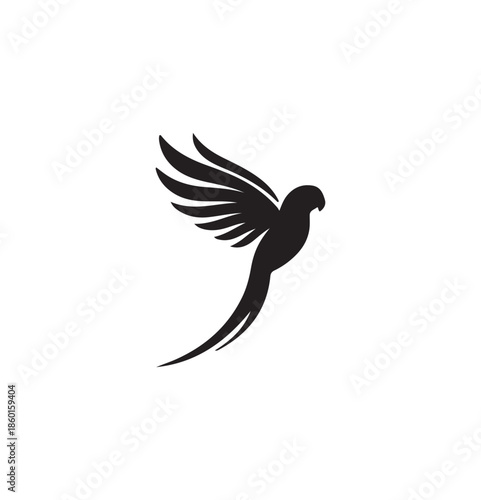  Monk Parakeet Flying.