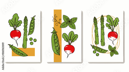 Collection of hand-drawn fresh vegetables including radishes, peas, and asparagus with mint leaves, perfect for healthy eating and organic garden themes.