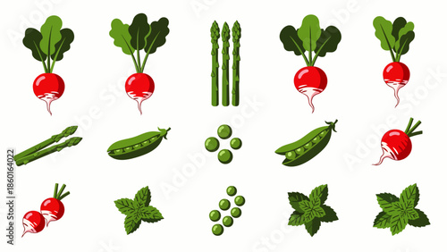 Collection of fresh vegetables and herbs, including radishes, asparagus, peas, and mint, isolated on white background.