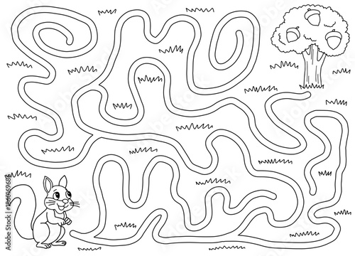 Squirrel maze graphic black white sketch landscape illustration vector
