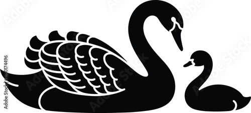 Black swan and cygnet silhouette isolated on white background, mother and baby bird, waterfowl nature animal family elegance pond icon.
