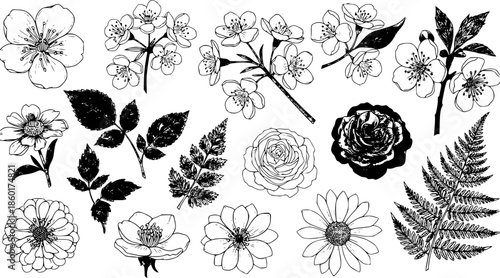 Set of detailed various flowers and foliage, intricate details and delicate forms. Hand drawn vector illustration with elegant botanical elements for invitation, save the date card