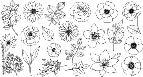 Set of detailed various flowers and foliage, intricate details and delicate forms. Hand drawn vector illustration with elegant botanical elements for invitation, save the date card