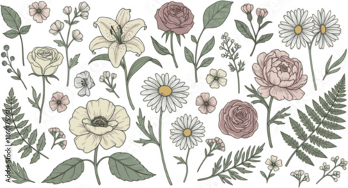 Set of detailed various flowers and foliage, intricate details and delicate forms. Hand drawn vector illustration with elegant botanical elements for invitation, save the date card