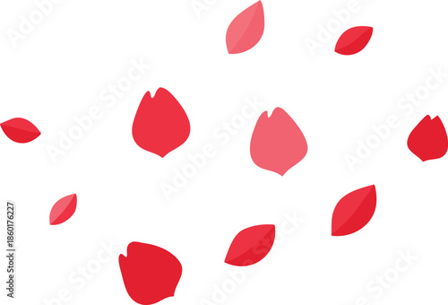 Scattered red petals isolated on transparent background, Vector, illustration