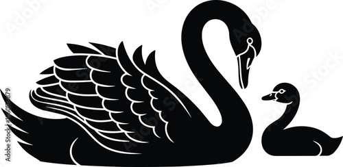 Black swan with cygnet silhouette isolated on white background, mother and baby bird, waterfowl, nature animal family, elegance pond icon.