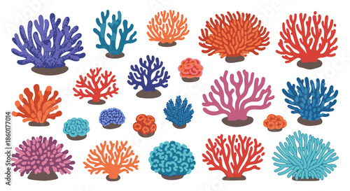 Large and vibrant collection of colorful coral reef species featuring various shapes sizes and textures of underwater life.