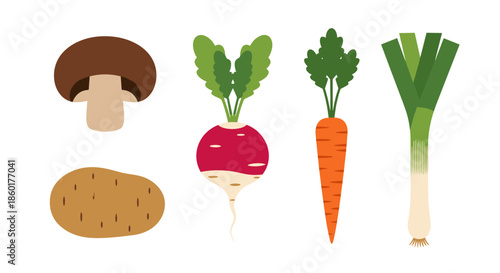 Set of four flat organic vegetable illustrations featuring a mushroom potato radish and a carrot with green leaves.