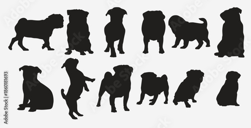 pug dog vector illustration