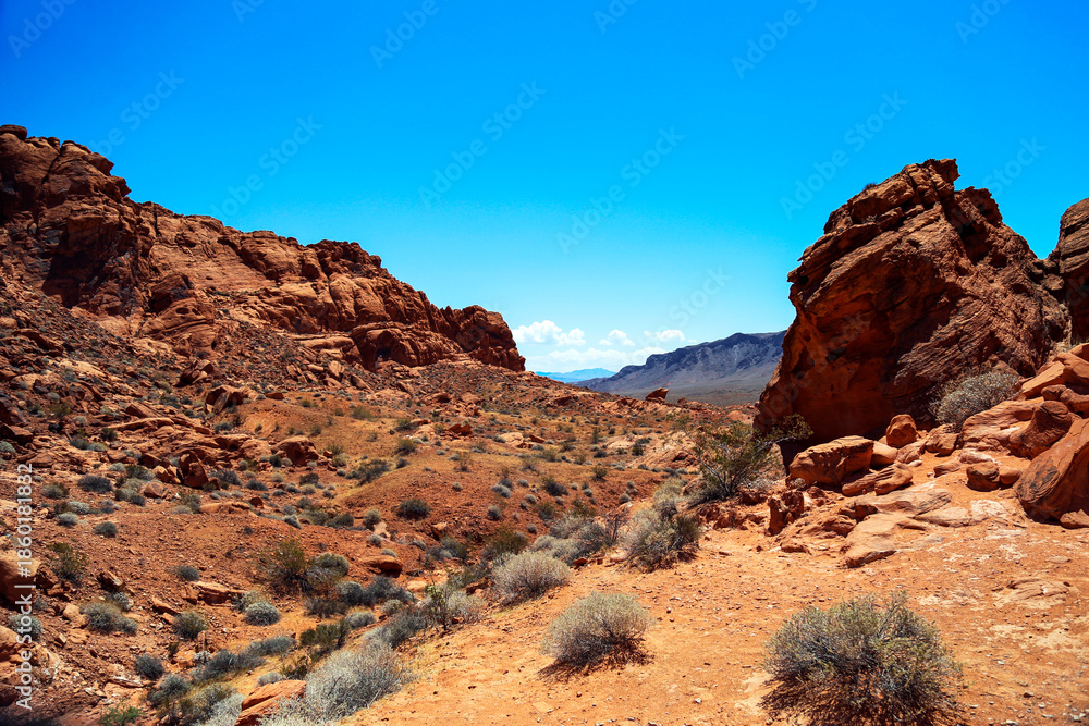 Fototapeta premium grand-canyon