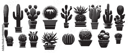 cactus vector illustration