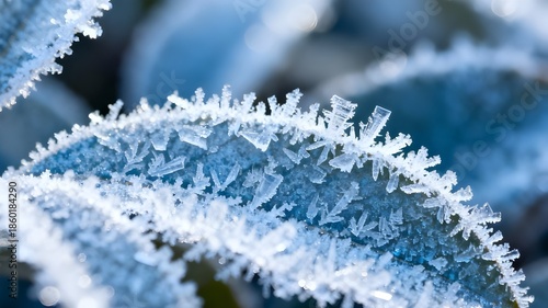 Wallpaper Mural frost on the branches Torontodigital.ca