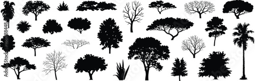 Black tree silhouettes illustration set, various forest plants palms bushes shapes, nature landscape elements collection, isolated vector design