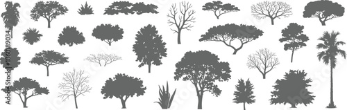 Black tree silhouettes illustration set, various forest plants palms bushes shapes, nature landscape elements collection, isolated vector design