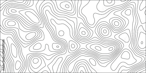 Black and white topographic contour lines forming an intricate, irregular pattern across a rectangular frame, suggesting terrain or data visualization