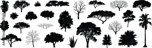 Black tree silhouettes illustration set, various forest plants palms bushes shapes, nature landscape elements collection, isolated vector design