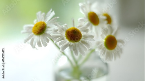 Wallpaper Mural Fresh daisies in a simple vase, soft natural light Torontodigital.ca
