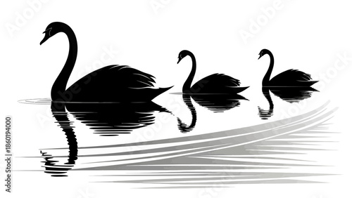Three black swans swimming in calm water with reflections