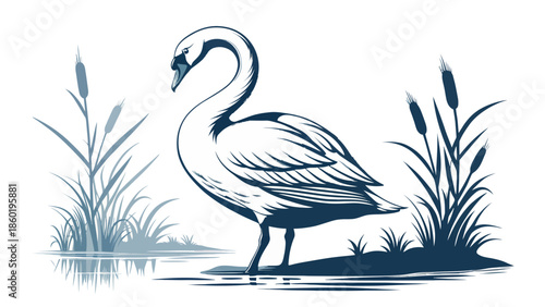 Serene swan standing by calm water with lush vegetation