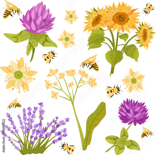 Floral collection features a mix of blooming flowers including lavender and clover surrounded by buzzing honey bees. A bright and educational illustration.