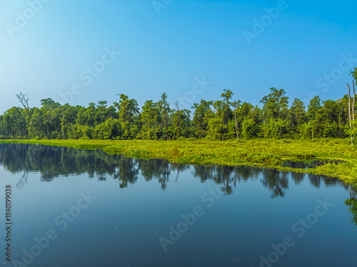 lake in the forest clean unique and latest blue sky green trees and clear weather 