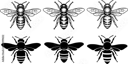 Bee silhouettes and detailed illustrations set, flying honey bee insect vector art, isolated black bee shapes collection for nature, wildlife design projects