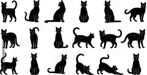 Black cat silhouettes collection, different poses and positions, elegant feline shapes, black vector illustration set for pets, animals, decoration, design elements