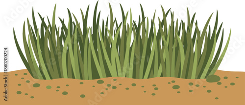 Realistic Green Grass Blades Growing in Soil Isolated on White Background Vector Illustration