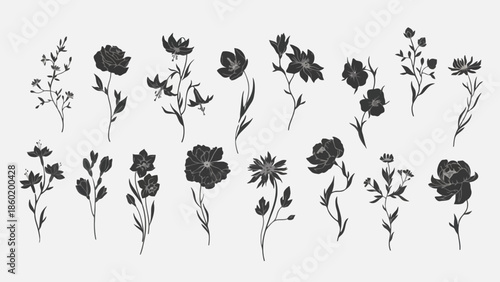 Collection of delicate botanical illustrations featuring various wildflowers and foliage elements in a monochromatic palette