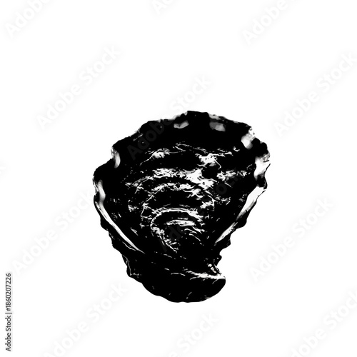 silhouette of a mussel