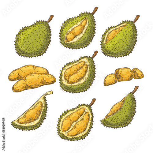 set of durian fruit
