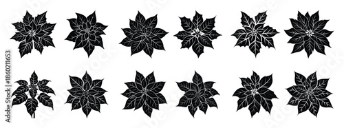 poinsettia silhouette black clipart set
