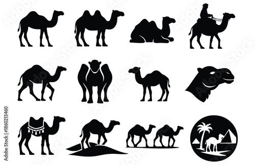 Black camel silhouettes in various poses and desert scenes white