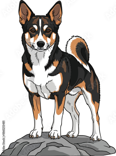 Norwegian Lundehund dog standing on rock attentive pose