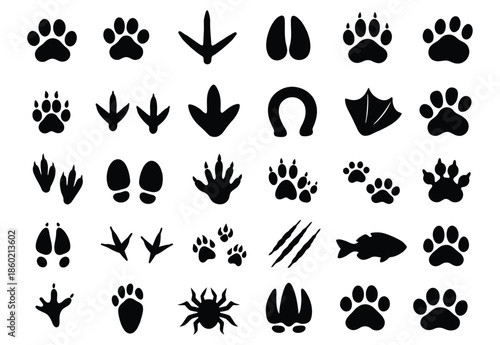 Collection of black animal and human footprints and symbols on white background bird claw