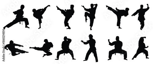 martial arts karate pose silhouette