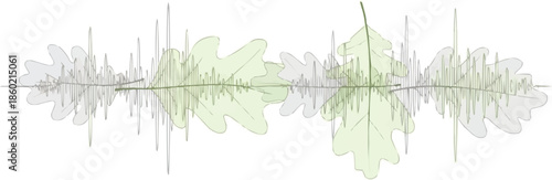 抽象的な音波を持つ緑のオークの葉、オーディオ周波数の自然の概念、環境に優しいデジタル波形、有機的な音の共鳴のイラスト