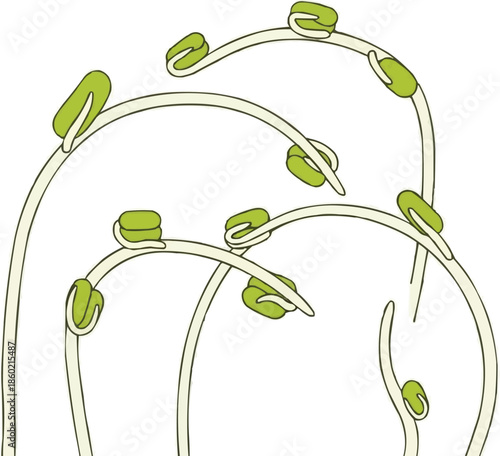 新鮮な緑豆もやしのイラスト、もやし野菜の成長ベクター、アジア風サラダの材料デザイン
