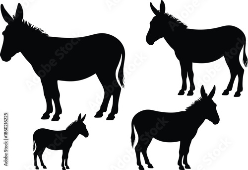 Collection of Donkey Silhouettes, Minimalist Black Donkey Outlines, Group of Four Donkey Vector Graphics, illustration, vector, silhouette