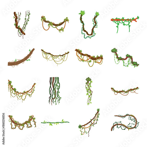 Jungle Liana and Tree Branch Collection. Vector Tropical Vines and Climbing Plant Borders for Game Asset or Nature Frame.