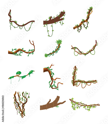 Hanging Jungle Vines and Climbing Ivy Set. Vector Green Liana Border Elements with Leaves for Rainforest Decoration or Safari Theme.