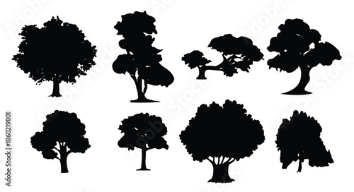 tree silhouettes vector