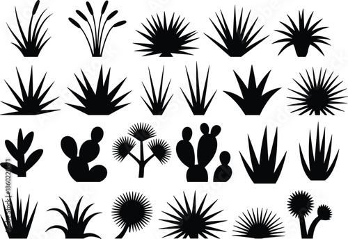 Black plant silhouettes collection featuring desert cactus and succulent botanical shapes isolated on white background vector illustration set