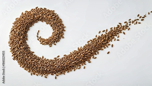 Artistic Spiral Seed Arrangement Symmetrical Natural Food Design on White Background