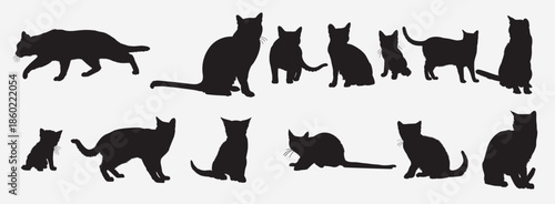 russian blue cat silhouette set