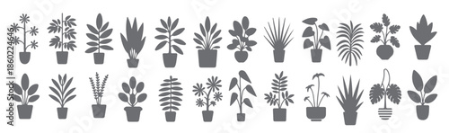 twenty four gray silhouette houseplants potted plants