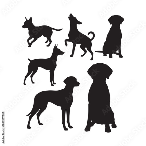 Dog Silhouette Animal Art Vector Illustration Isolated Canine Design