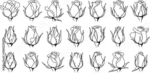 Black and White Line Art Collection of Rose Buds and Flowers